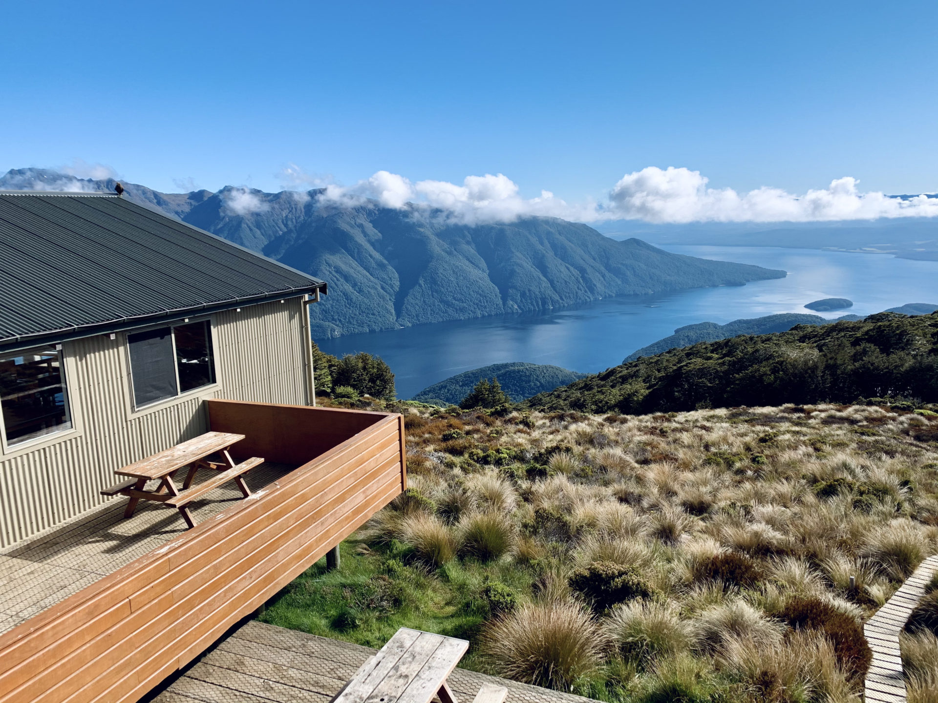 What it’s Actually Like to Live in New Zealand as a Foreigner During